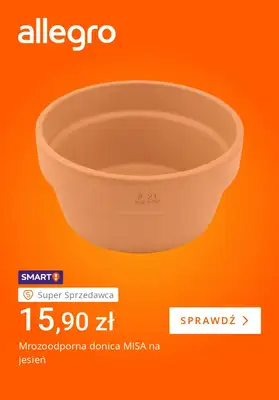 Allegro - gazetka promocyjna Jesienny nastrój w Twoim domu od piątku 21.08 do piątku 28.08 - strona 3