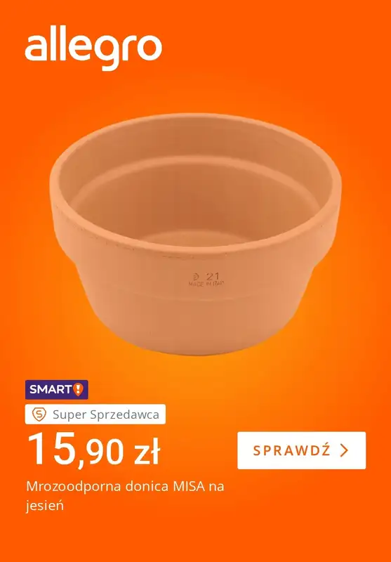 Allegro - gazetka promocyjna Jesienny nastrój w Twoim domu od piątku 21.08 do piątku 28.08 - strona 3