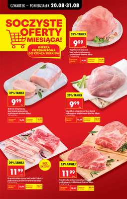Biedronka - gazetka promocyjna Od czwartku od czwartku 20.08 do środy 26.08 - strona 31