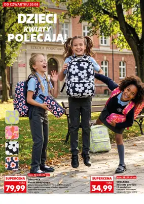 Kaufland - gazetka promocyjna Oferta Kaufland - Wyprawka z klasą! od czwartku 20.08 do środy 26.08 - strona 38