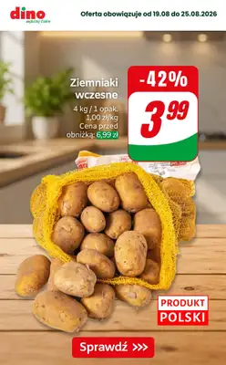 Dino - gazetka promocyjna Nawet do -42% taniej od piątku 21.08 do wtorku 25.08 - strona 2