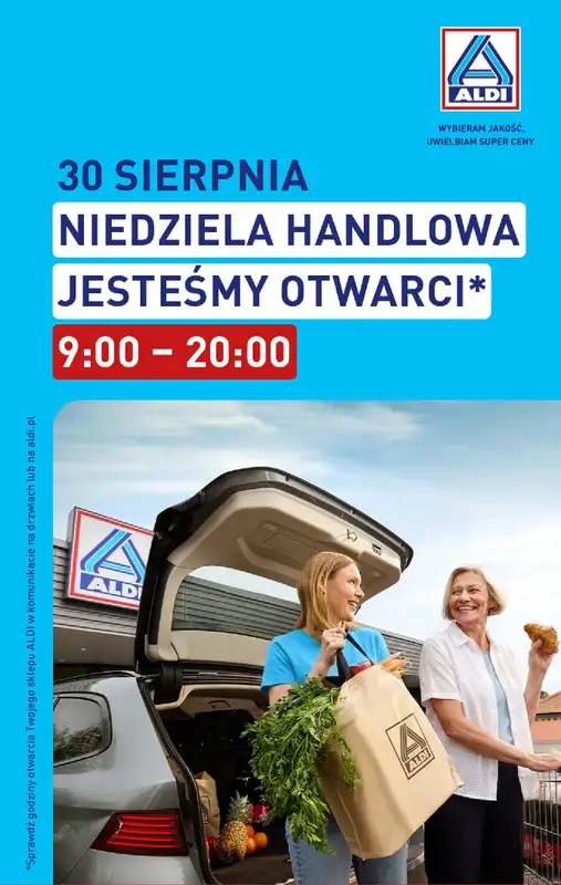 Aldi - gazetka promocyjna Pełny katalog! od poniedziałku 24.08 do niedzieli 30.08 - strona 34