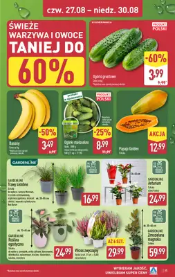 Aldi - gazetka promocyjna Pełny katalog! od poniedziałku 24.08 do niedzieli 30.08 - strona 35