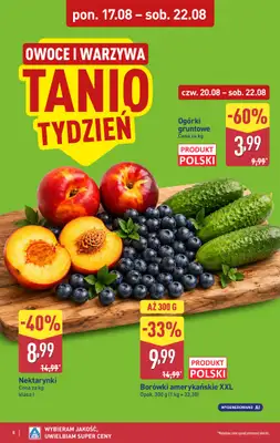 Aldi - gazetka promocyjna Pełny katalog! od poniedziałku 17.08 do soboty 22.08 - strona 8