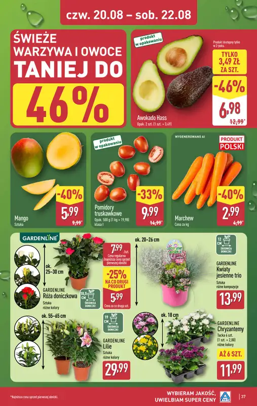 Aldi - gazetka promocyjna Pełny katalog! od poniedziałku 17.08 do soboty 22.08 - strona 37
