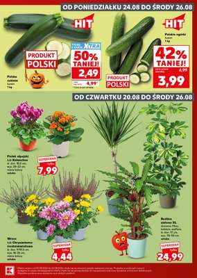 Kaufland - gazetka promocyjna Mocny Start od poniedziałku 24.08 do środy 26.08 - strona 3
