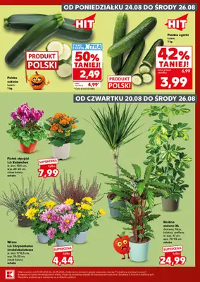 Kaufland - gazetka promocyjna Mocny Start od poniedziałku 24.08 do środy 26.08 - strona 3