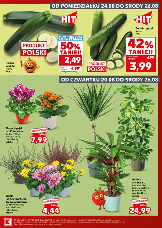 Kaufland - gazetka promocyjna Mocny Start od poniedziałku 24.08 do środy 26.08 - strona 3
