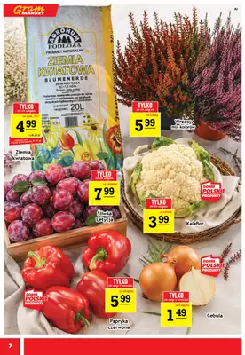 Gram Market - gazetka promocyjna Gazetka od środy 26.08 do wtorku 01.09 - strona 7