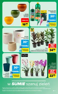Carrefour - gazetka promocyjna Gazetka w sumie same okazje od poniedziałku 24.08 do soboty 05.09 - strona 9