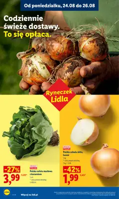 Lidl - gazetka promocyjna Oferta od poniedziałku od poniedziałku 24.08 do środy 26.08 - strona 38
