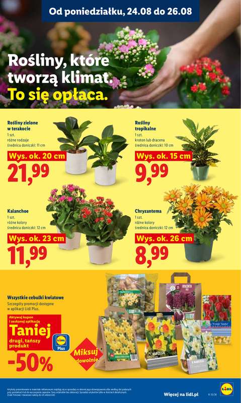 Lidl - gazetka promocyjna Oferta od poniedziałku od poniedziałku 24.08 do środy 26.08 - strona 85