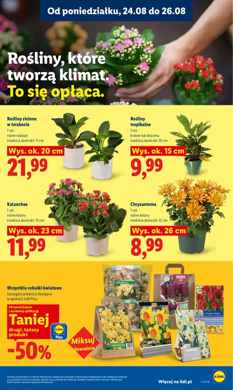 Lidl - gazetka promocyjna Oferta od poniedziałku od poniedziałku 24.08 do środy 26.08 - strona 85