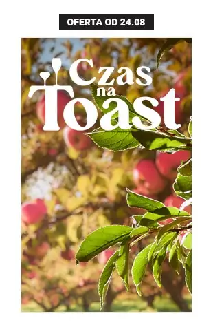 Biedronka - gazetka promocyjna Czas na Toast!  