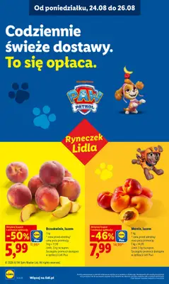 Lidl - gazetka promocyjna Oferta od poniedziałku od poniedziałku 24.08 do środy 26.08 - strona 40