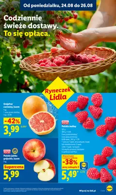 Lidl - gazetka promocyjna Oferta od poniedziałku od poniedziałku 24.08 do środy 26.08 - strona 39