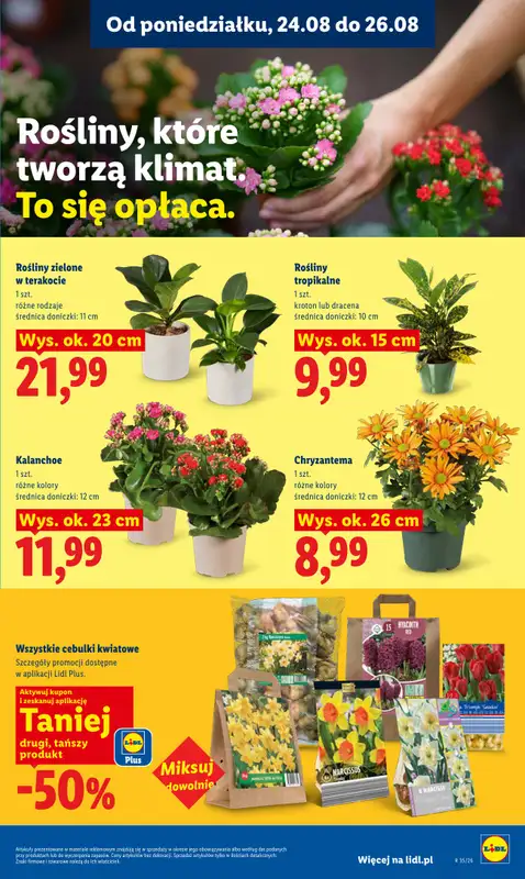 Lidl - gazetka promocyjna Oferta od poniedziałku od poniedziałku 24.08 do środy 26.08 - strona 85