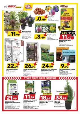 Bricomarche - gazetka promocyjna Gazetka od środy 26.08 do soboty 05.09 - strona 2