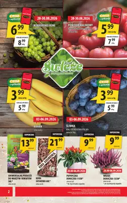 Arhelan - gazetka promocyjna Gazetka od piątku 28.08 do niedzieli 06.09 - strona 2