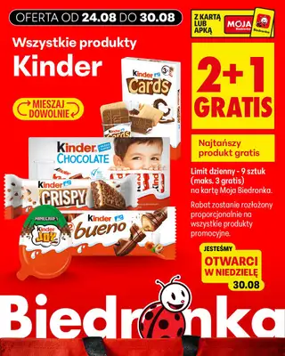 Biedronka - gazetka promocyjna Biedronkowe oszczędności od poniedziałku od poniedziałku 24.08 do środy 26.08 - strona 11