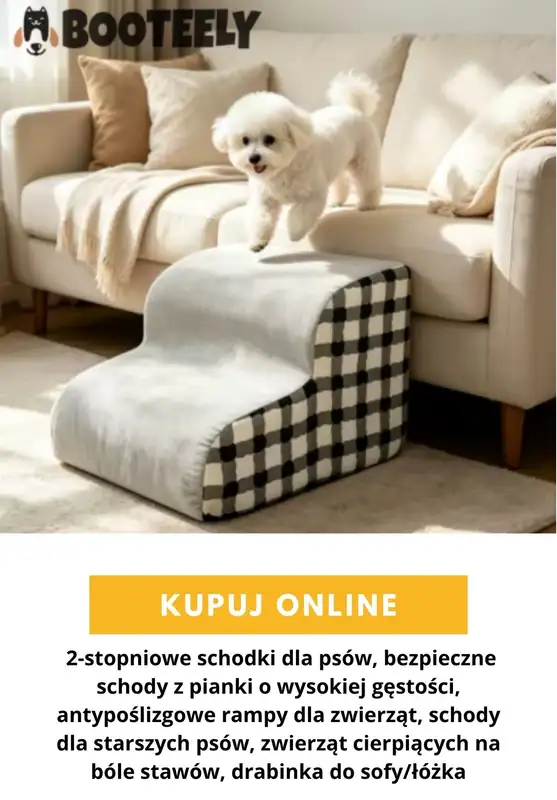 AliExpress - gazetka promocyjna Akcesoria dla zwierząt od poniedziałku 24.08  - strona 6