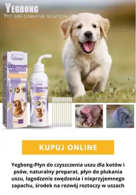 AliExpress - gazetka promocyjna Akcesoria dla zwierząt od poniedziałku 24.08  - strona 2