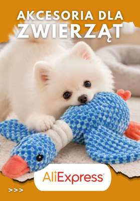AliExpress - gazetka promocyjna Akcesoria dla zwierząt od poniedziałku 24.08 