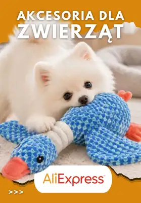 AliExpress - gazetka promocyjna Akcesoria dla zwierząt od poniedziałku 24.08 