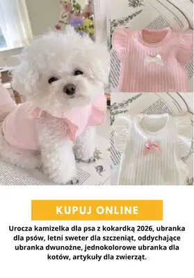 AliExpress - gazetka promocyjna Akcesoria dla zwierząt od poniedziałku 24.08  - strona 11