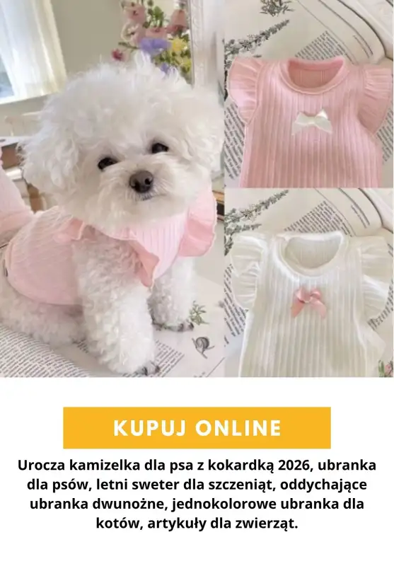 AliExpress - gazetka promocyjna Akcesoria dla zwierząt od poniedziałku 24.08  - strona 11