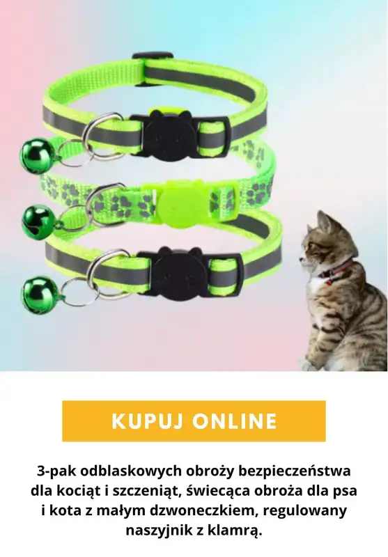 AliExpress - gazetka promocyjna Akcesoria dla zwierząt od poniedziałku 24.08  - strona 3