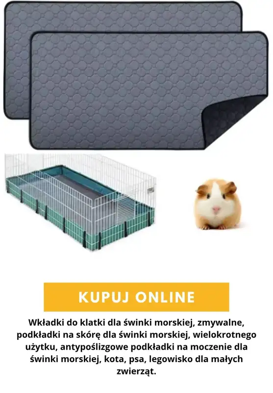AliExpress - gazetka promocyjna Akcesoria dla zwierząt od poniedziałku 24.08  - strona 9
