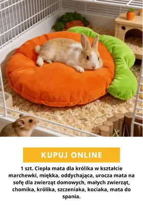 AliExpress - gazetka promocyjna Akcesoria dla zwierząt od poniedziałku 24.08  - strona 10