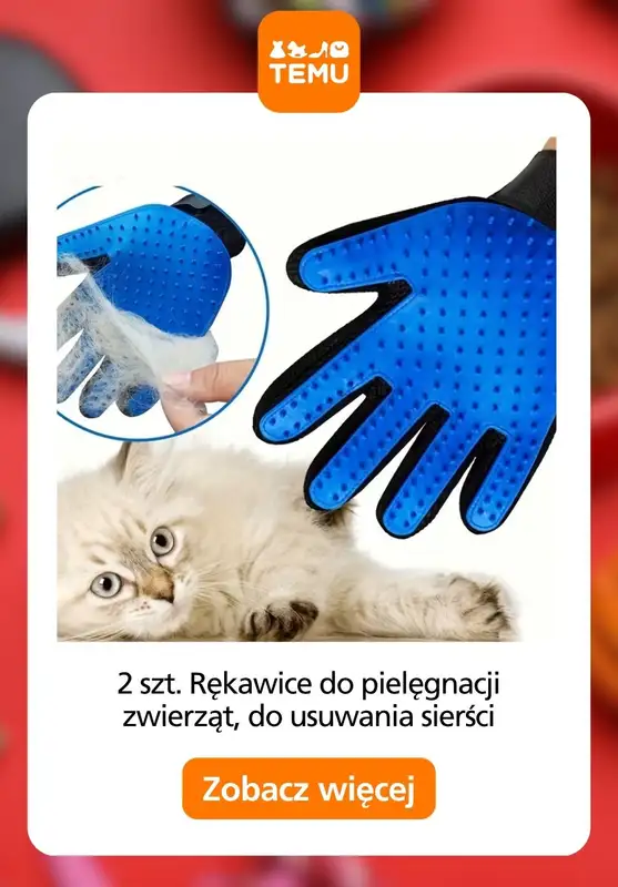 Temu - gazetka promocyjna Akcesoria dla zwierząt od poniedziałku 24.08 do czwartku 03.09 - strona 6