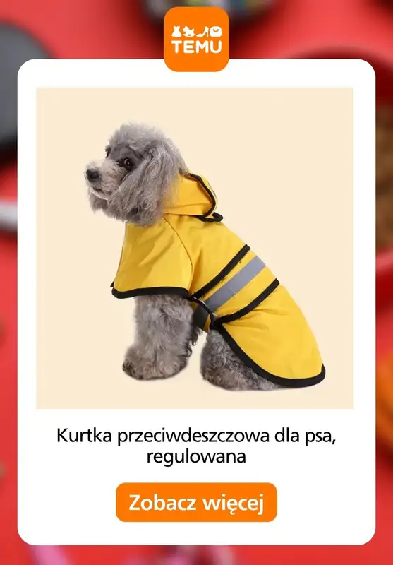 Temu - gazetka promocyjna Akcesoria dla zwierząt od poniedziałku 24.08 do czwartku 03.09 - strona 12
