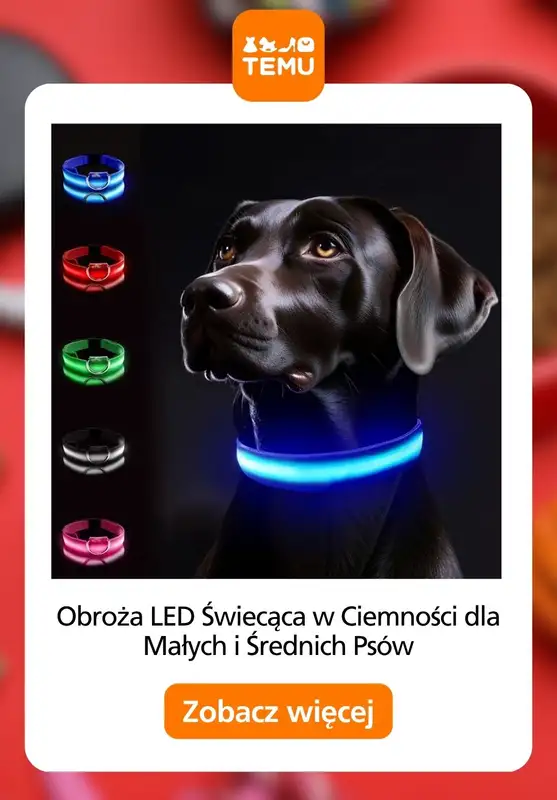 Temu - gazetka promocyjna Akcesoria dla zwierząt od poniedziałku 24.08 do czwartku 03.09 - strona 4