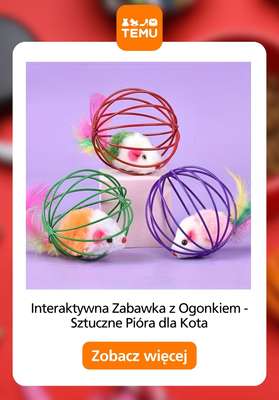 Temu - gazetka promocyjna Akcesoria dla zwierząt od poniedziałku 24.08 do czwartku 03.09 - strona 11