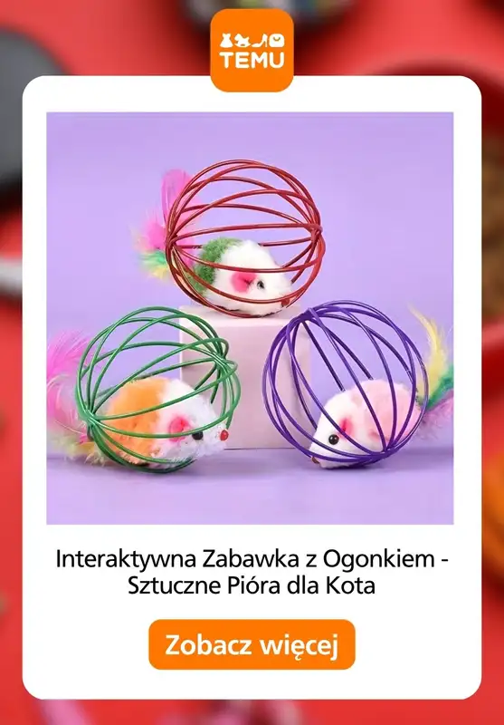 Temu - gazetka promocyjna Akcesoria dla zwierząt od poniedziałku 24.08 do czwartku 03.09 - strona 11