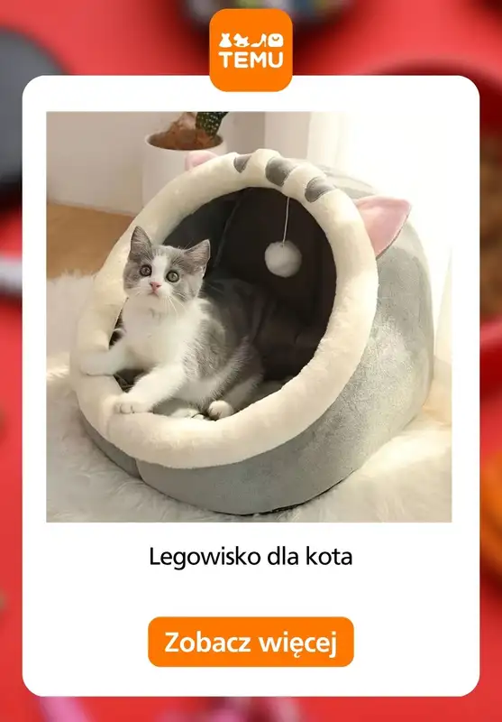 Temu - gazetka promocyjna Akcesoria dla zwierząt od poniedziałku 24.08 do czwartku 03.09 - strona 3