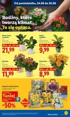 Lidl - gazetka promocyjna Oferta od poniedziałku od poniedziałku 24.08 do środy 26.08 - strona 83