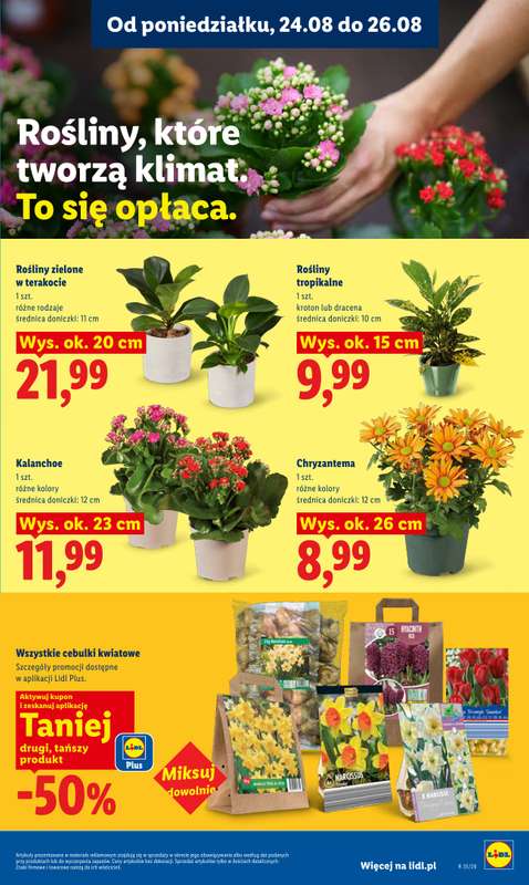 Lidl - gazetka promocyjna Oferta od poniedziałku od poniedziałku 24.08 do środy 26.08 - strona 83