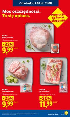 Lidl - gazetka promocyjna Oferta od poniedziałku od poniedziałku 24.08 do środy 26.08 - strona 15