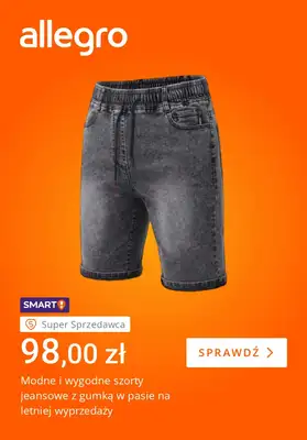 Allegro - gazetka promocyjna Koniec lata - czas wyprzedaży od wtorku 25.08 do poniedziałku 31.08 - strona 3