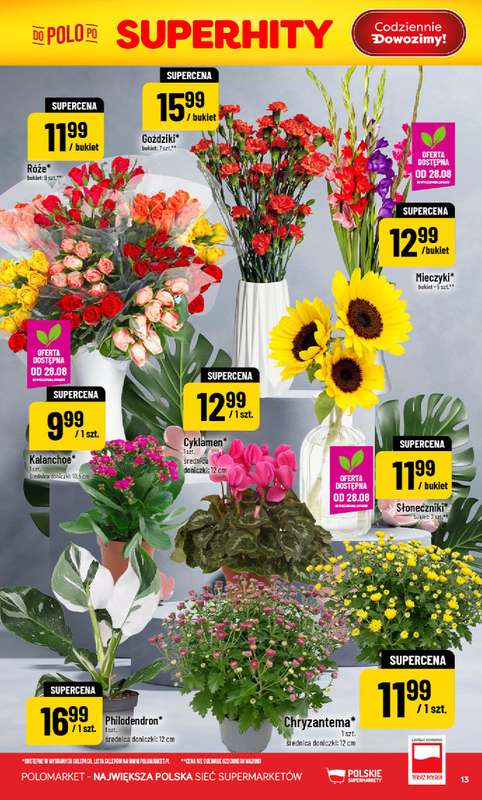 POLOmarket - gazetka promocyjna Gazetka od środy 26.08 do wtorku 01.09 - strona 13