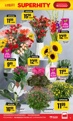 POLOmarket - gazetka promocyjna Gazetka od środy 26.08 do wtorku 01.09 - strona 13