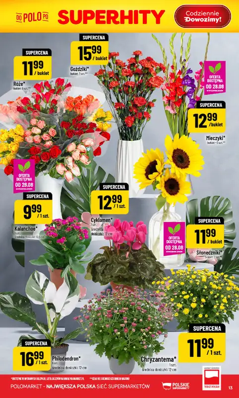 POLOmarket - gazetka promocyjna Gazetka od środy 26.08 do wtorku 01.09 - strona 13