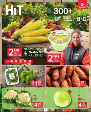 Selgros - gazetka promocyjna Oferta spożywcza od czwartku 27.08 do środy 09.09 - strona 2