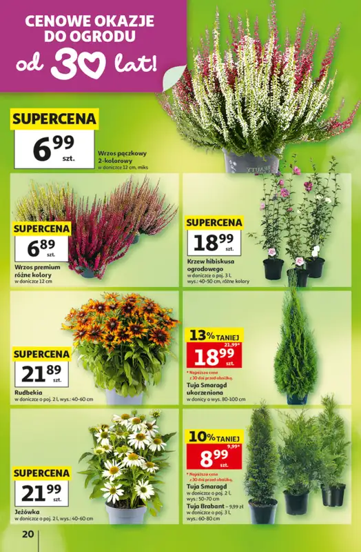 Auchan - gazetka promocyjna Gazetka 30 Lat Hipermarket Auchan od czwartku 27.08 do środy 02.09 - strona 20