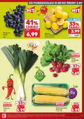 Kaufland - gazetka promocyjna Gazetka Tygodnia od czwartku 27.08 do środy 02.09 - strona 63