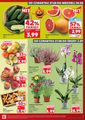 Kaufland - gazetka promocyjna Gazetka Tygodnia od czwartku 27.08 do środy 02.09 - strona 5